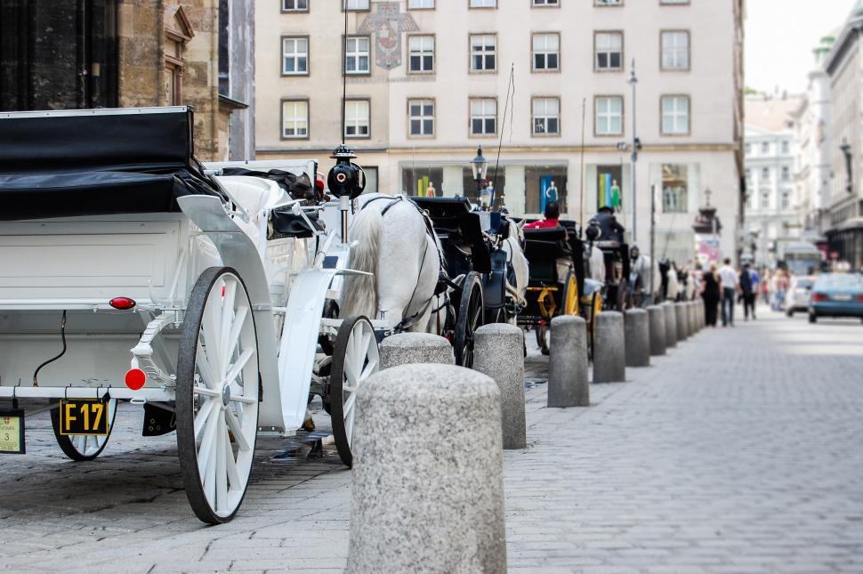 Free Image of Horse-Drawn Carriage Parked on Side of Street 