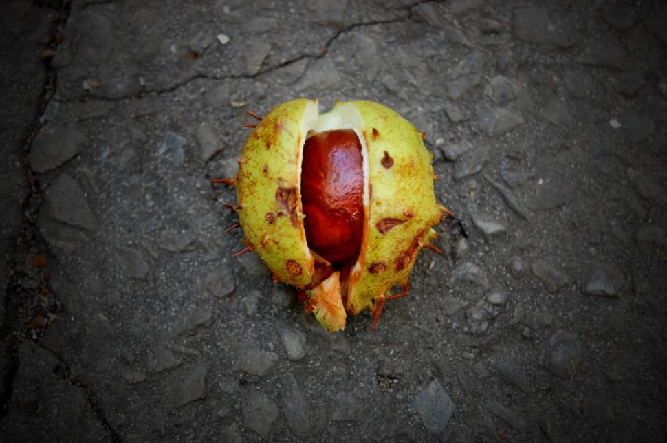 Free Image of Partially Eaten Fruit 