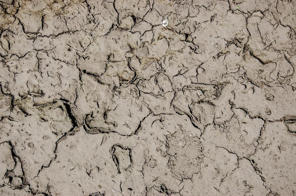 Free Image of Cracked Surface in Black and White 