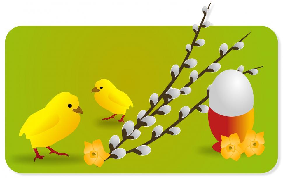 Free Image of Chick Leading Her Chicks Across the Grass 