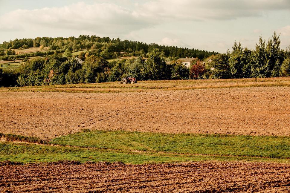 Free Image of Horse Standing in Field 
