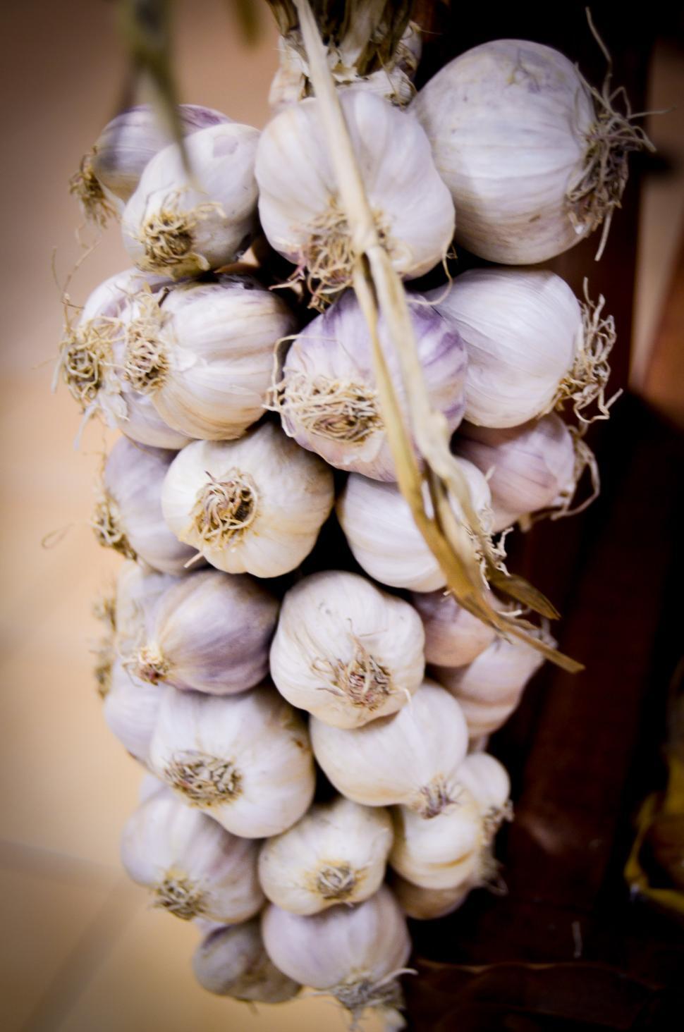 Free Image of Bunch of Garlic Hanging From a Rope 