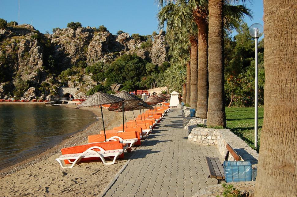 Free Image of Row of Lawn Chairs on Sandy Beach 
