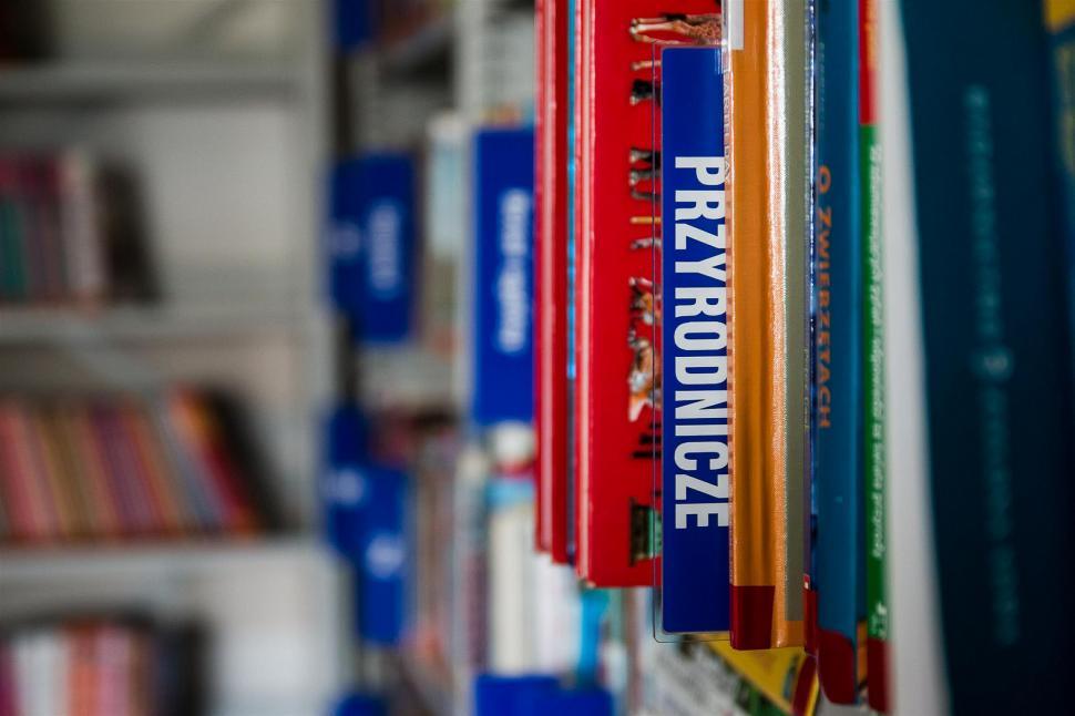 Free Image of Row of Books on Shelf in Library 