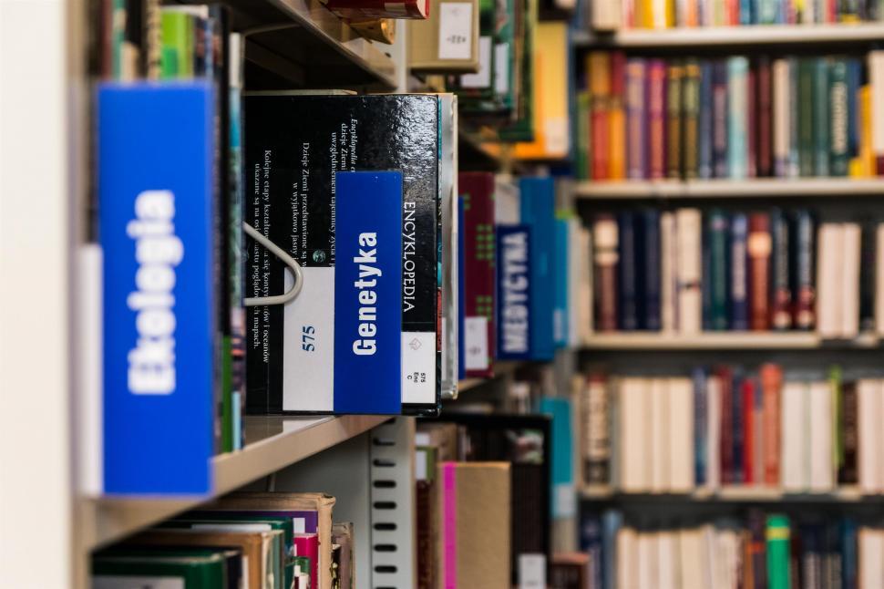Free Image of Book Shelf Filled With Books 