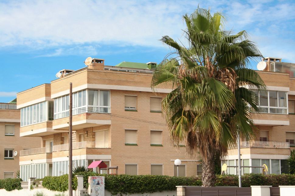 Free Image of Palm Tree in Front of Building 
