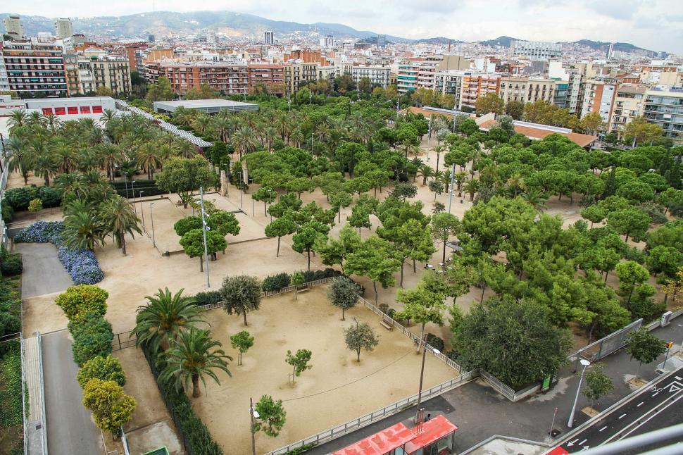 Free Image of Aerial View of a Park With Trees and Buildings 