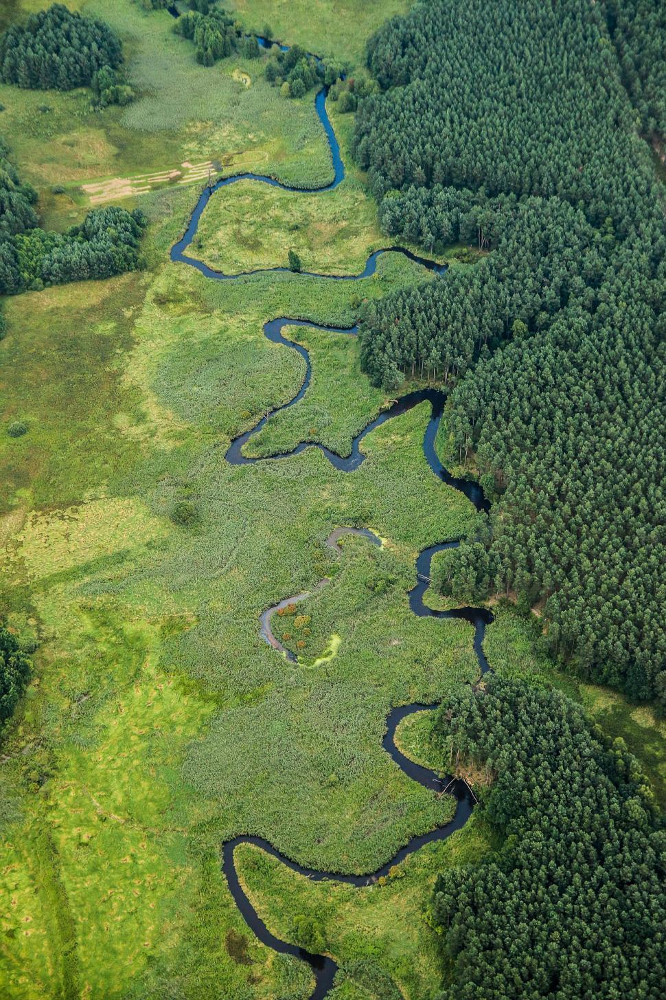 Free Image of River Flowing Through Lush Green Forest 