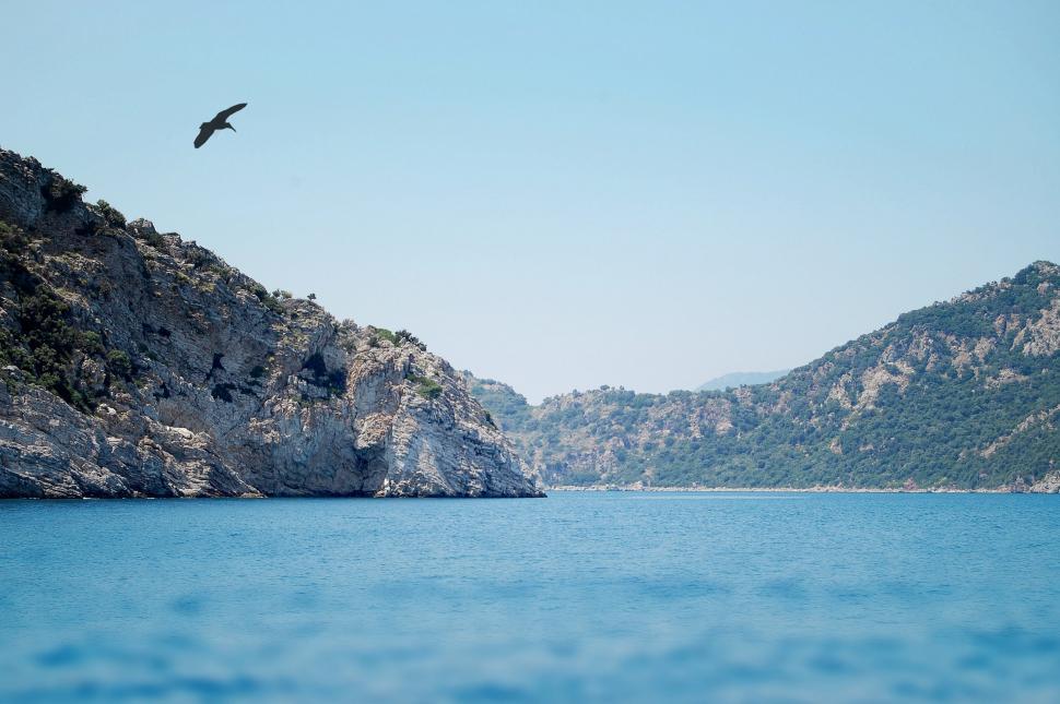 Free Image of Bird Flying Over Large Body of Water 