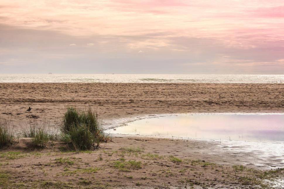 Free Image of Horse Standing on Beach Near Body of Water 
