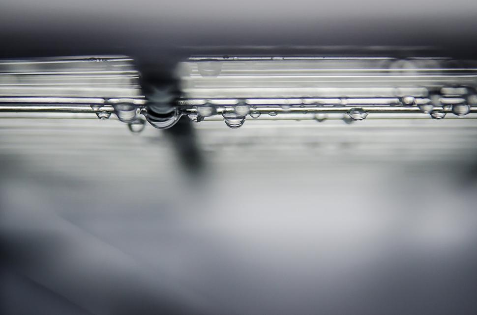 Free Image of Water Droplets in Black and White 