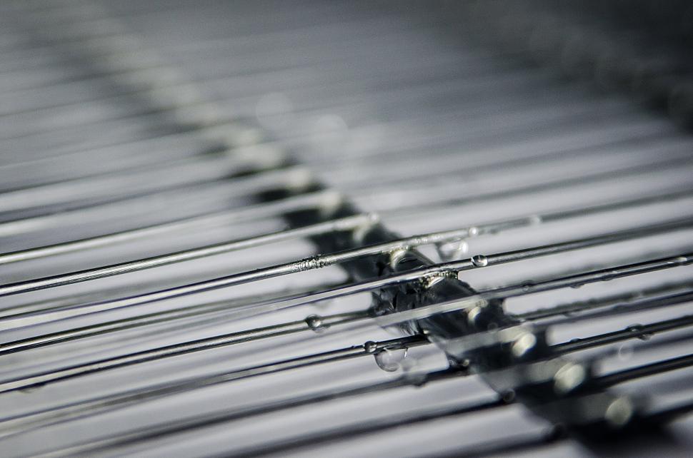 Free Image of Row of Toothbrushes in Close-up 