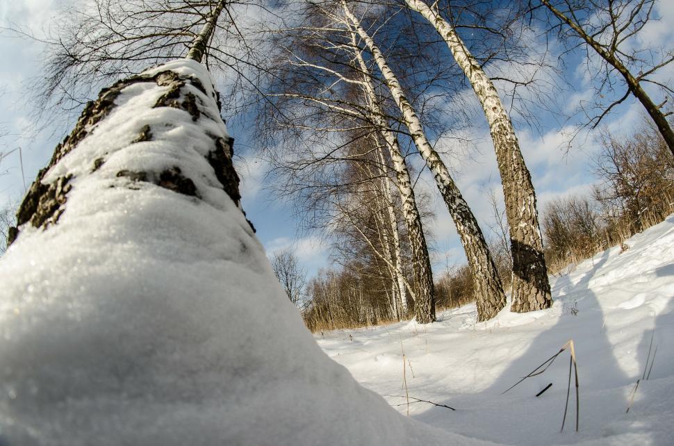 Free Image of Person Snowboarding Down Snow Covered Slope 