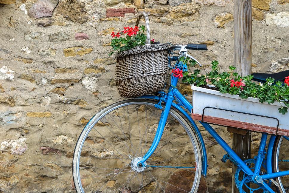 Free Image of Bicycle Planter 