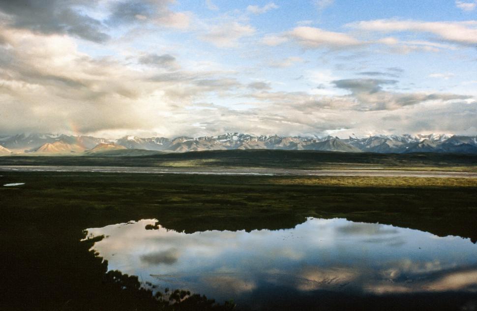 Free Image of Pond at Denali National Park 