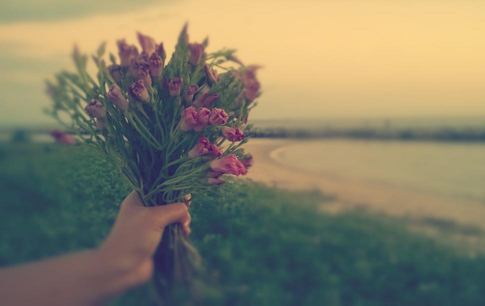 Free Image of Person holding a posy of flowers  