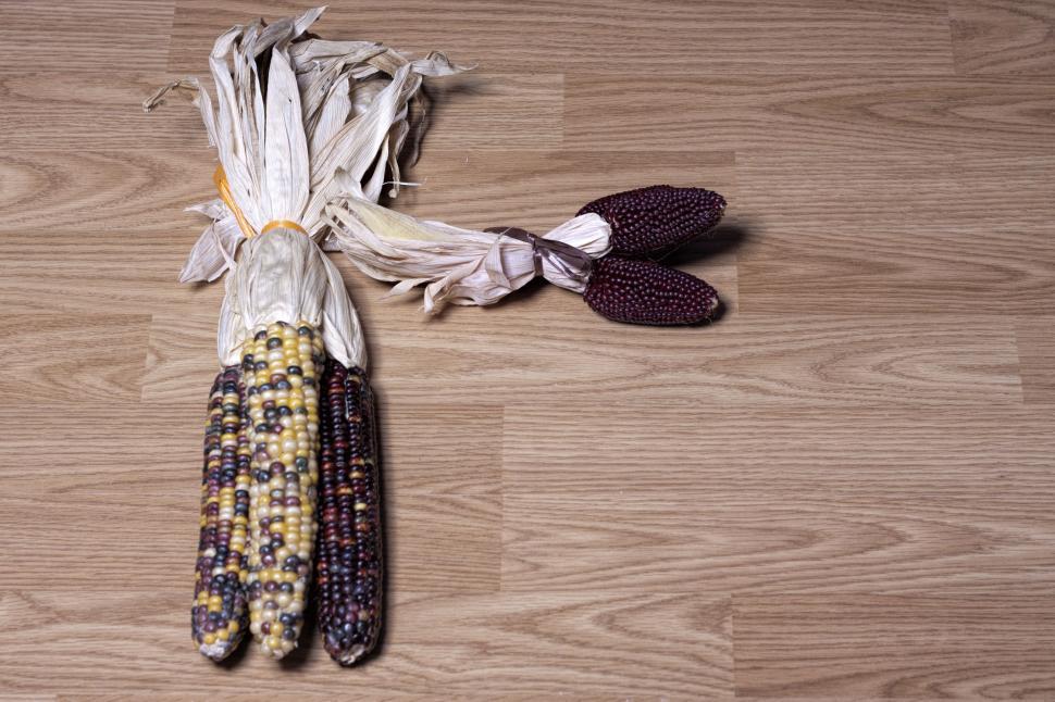 Free Image of Corn of different colors 