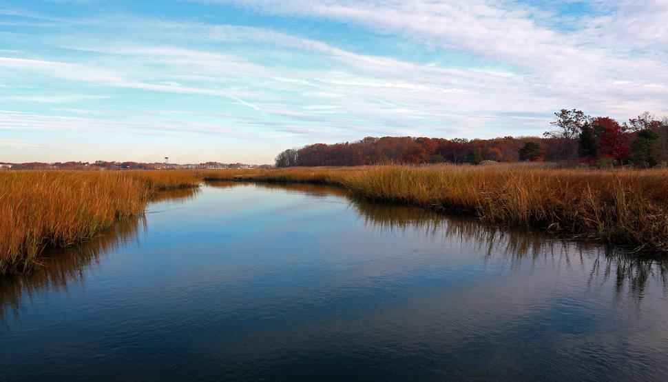 Free Image of Salt Marsh at Cheesequake State Park NJ 