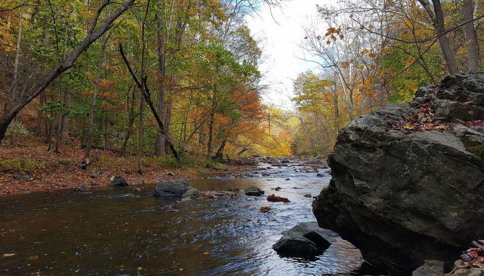 Free Image of Boulder and Rocks  