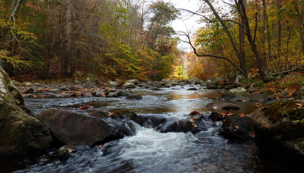 Free Image of Ken Lockwood Gorge in Autumn 