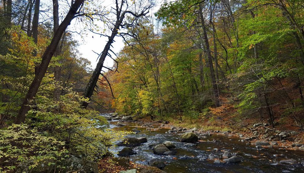 Free Image of Stream in Ken Lockwood Gorge in Autumn 