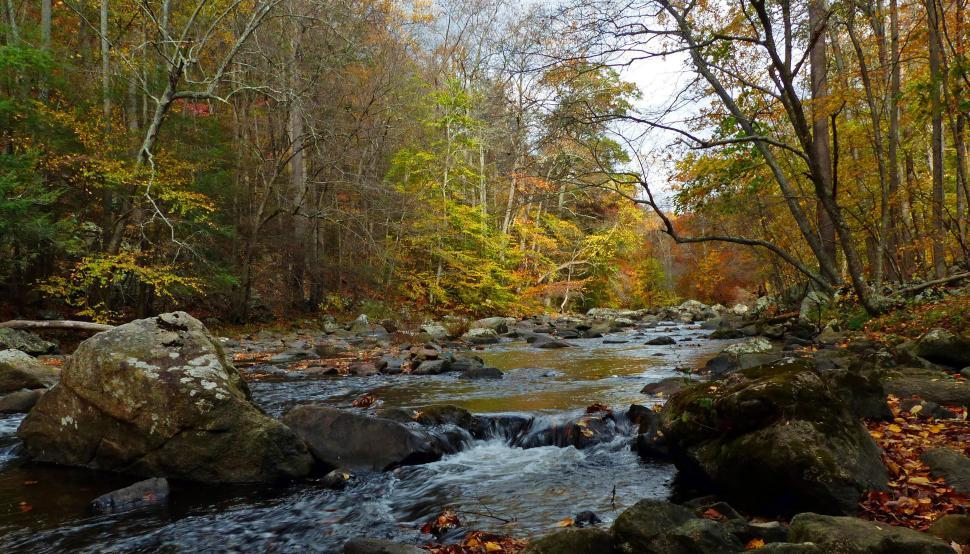 Free Image of Boulder, Stream, and Rocks at Ken Lockwood Gorge 