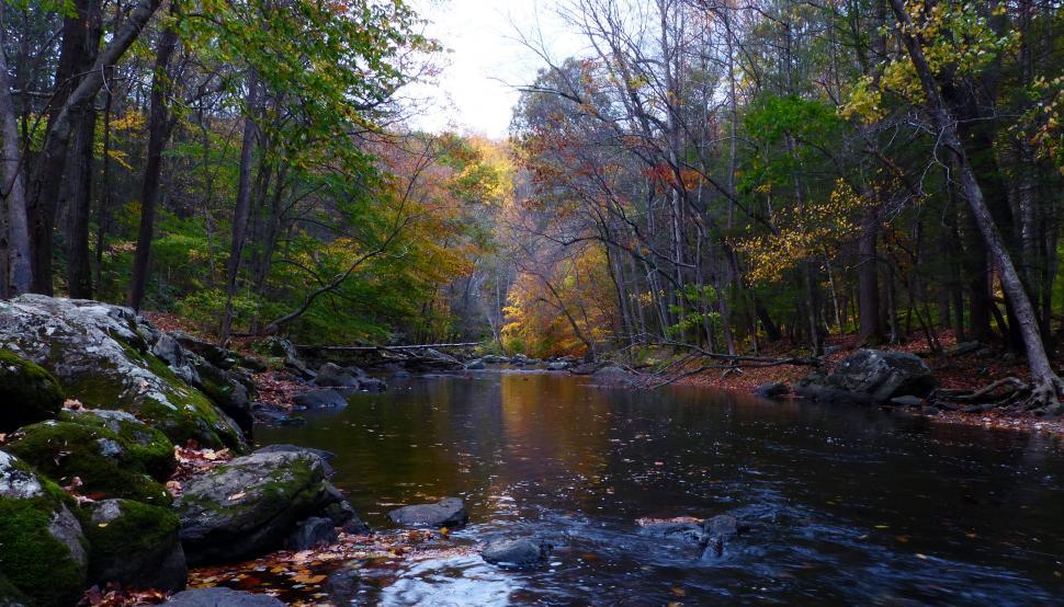 Free Image of Rocks and Boulders on the banks of the Raritan River 