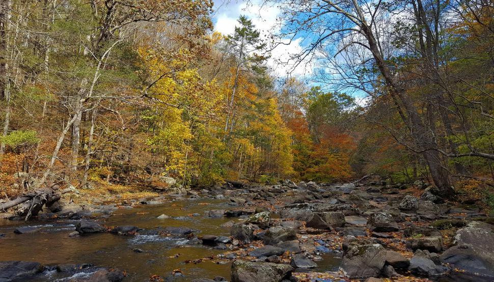 Free Image of Rocks in the Raritan River 