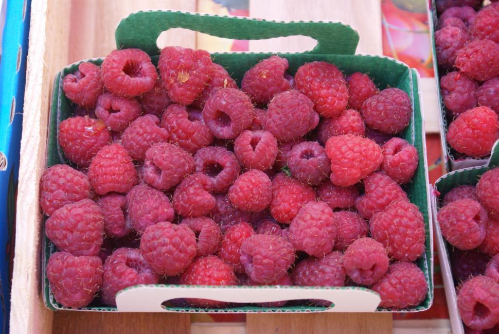 Free Image of Raspberries 