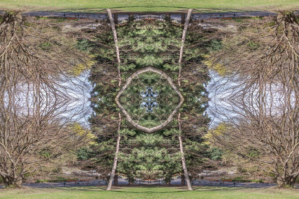 Free Image of Magic Forest 