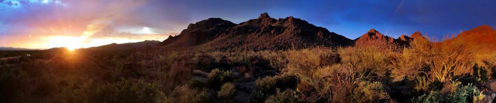 Free Image of Tucson Desert Landscape 