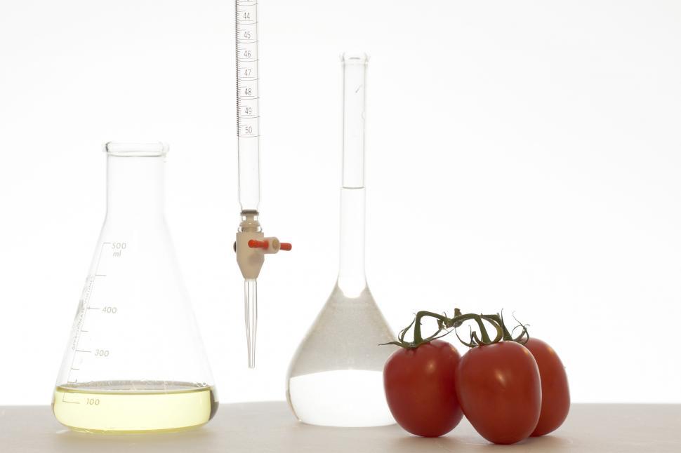 Free Image of Food Chemistry 