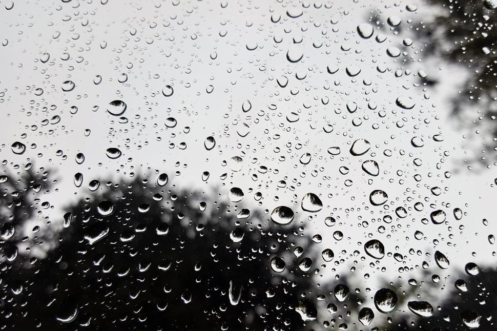 Free Image of Rain Drops On Car Windshield 