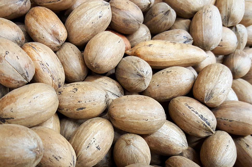 Free Image of Shelled Pecans 