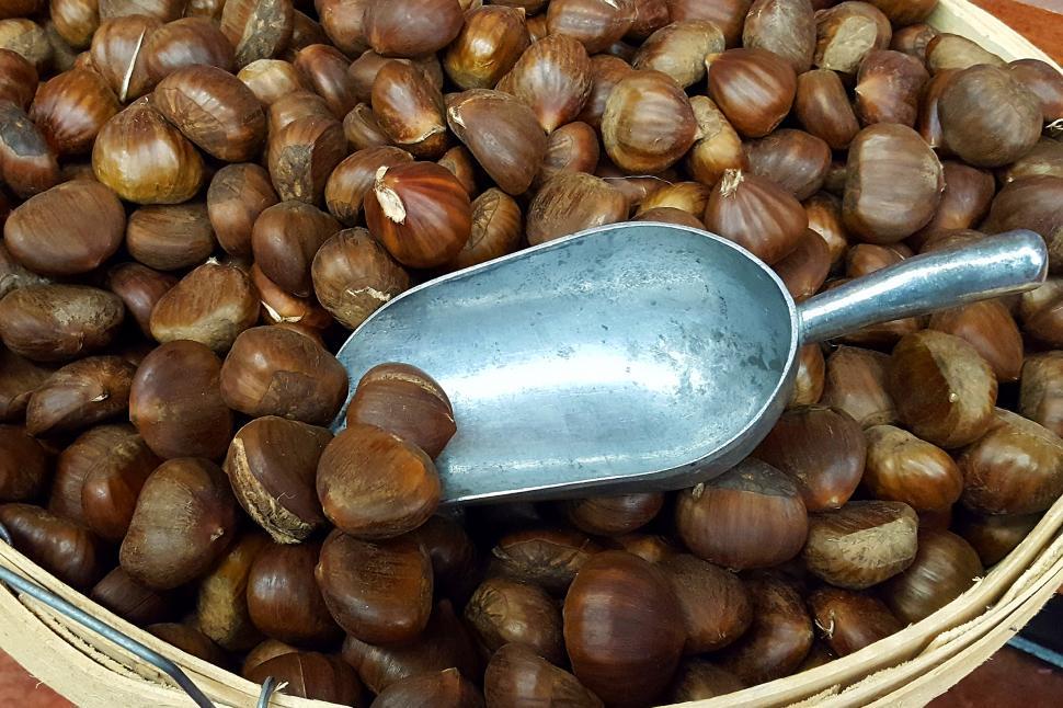 Free Image of Chestnuts 