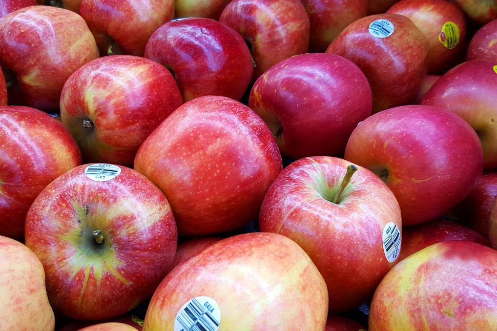 Free Image of Gala Apples 