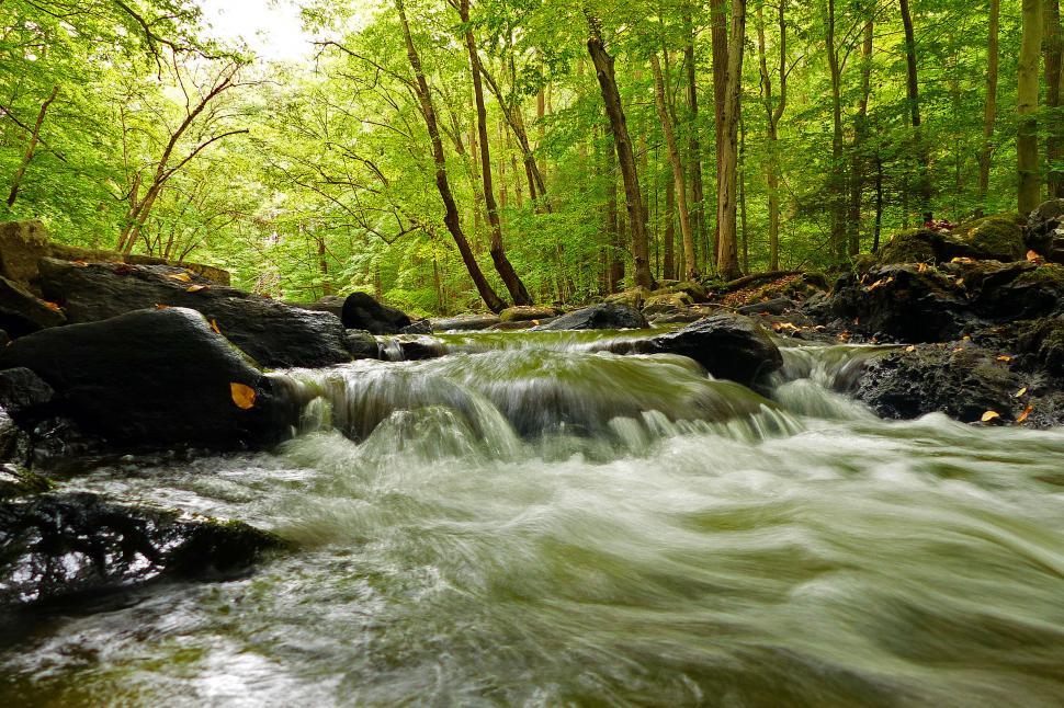 Free Image of Cascade 