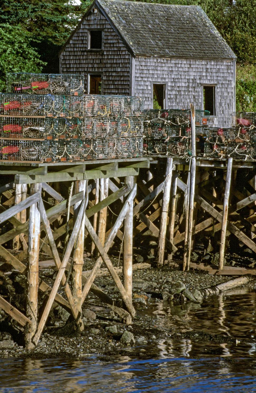 Free Image of Fishing near beach 