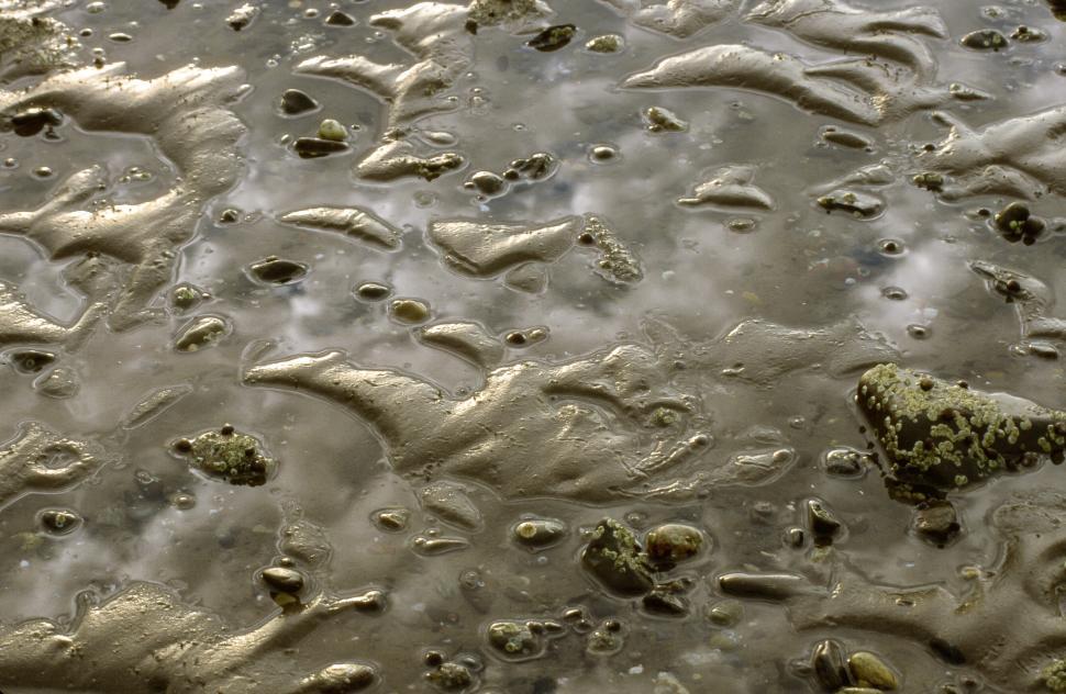 Free Image of Wet Beach Sand Background 