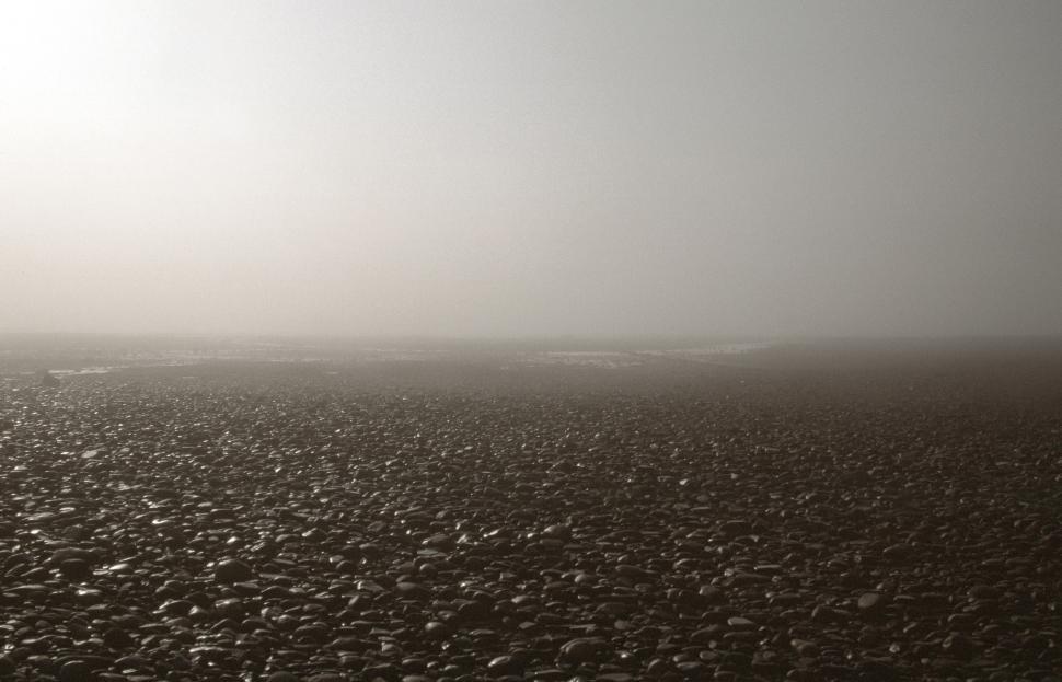 Free Image of Sunlight on pebble stone 