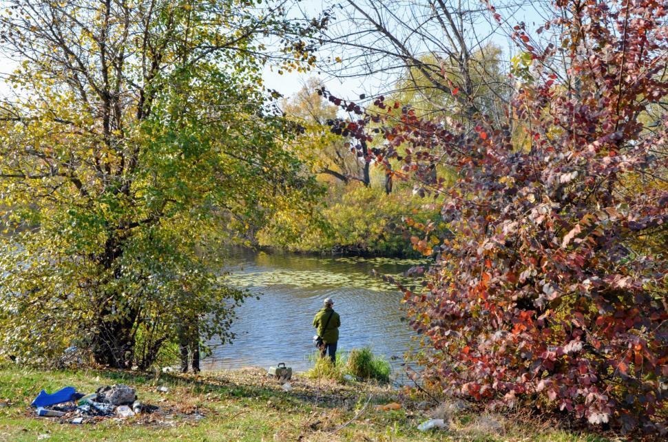 Free Image of Fisherman in the frame of two trees standing on the shore trying to catch fish 