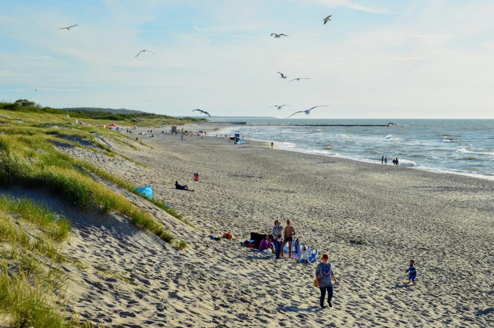 Free Image of People relax on the beach near the sand dunes with green grass. Baltic Sea 