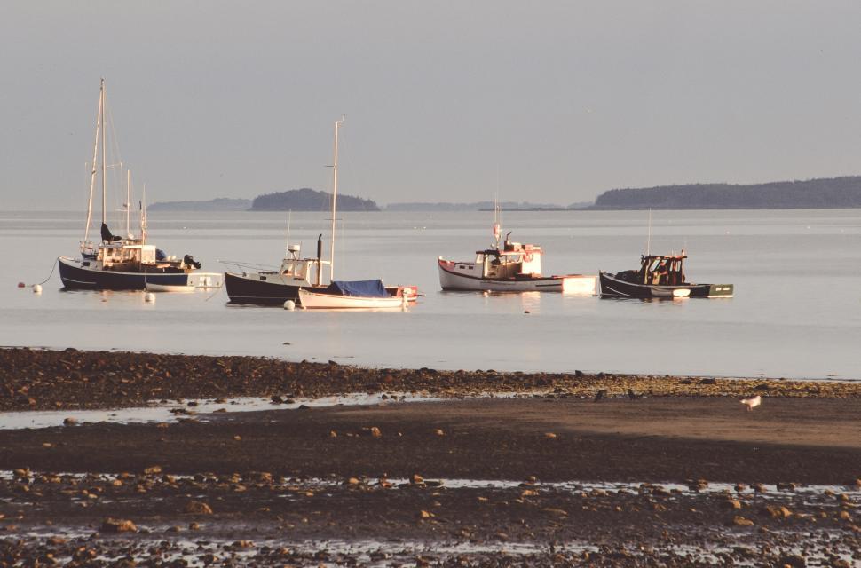 Free Image of Boats in ocean at sunset 