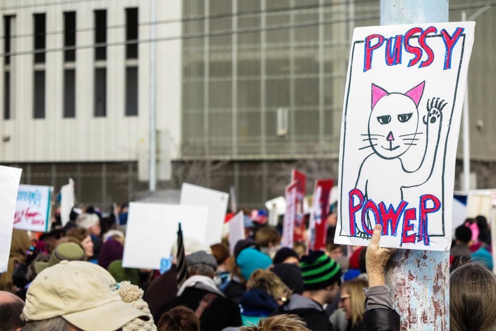 Free Image of Women s rights rally 