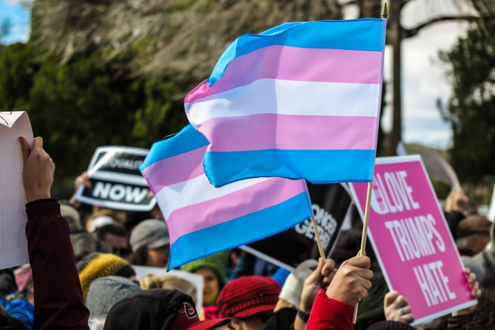 Free Image of Transgender rights flag 