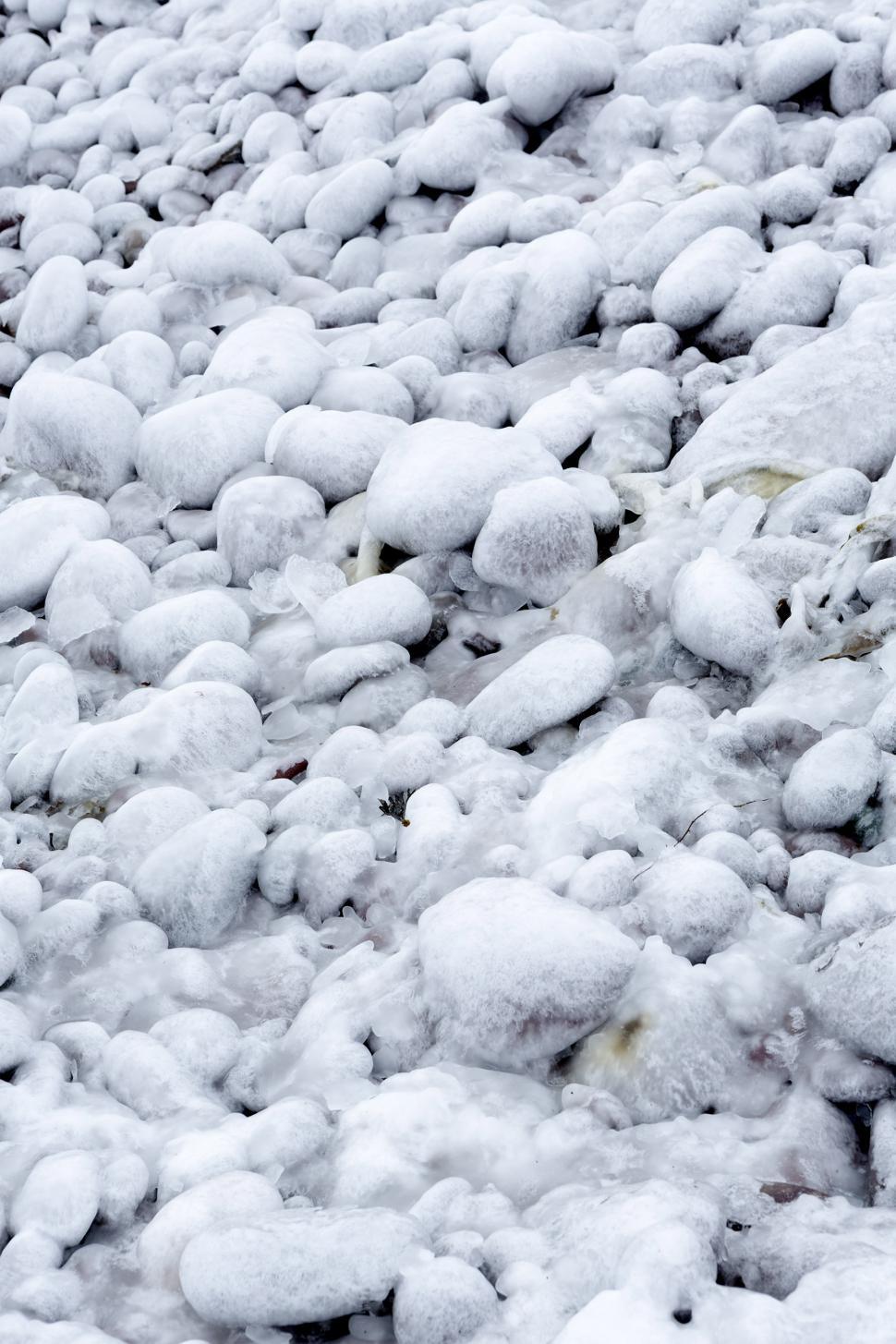 Free Image of Winter Beach 