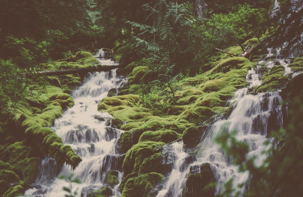 Free Image of Proxy falls 