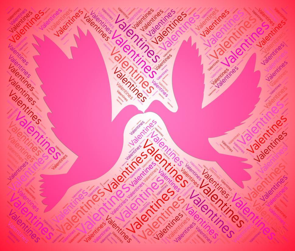 Free Image of Valentines Doves Indicates Love Lover And Day 
