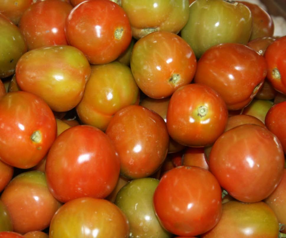 Free Image of Vegetables and spices 
