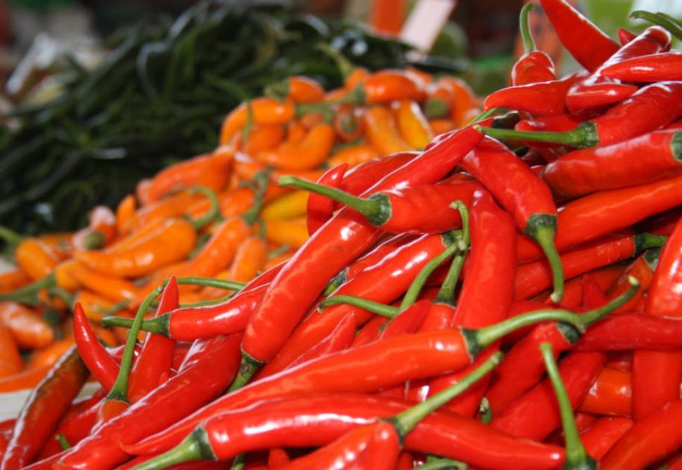 Free Image of Vegetables and spices 
